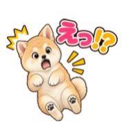 ぷるぷる
